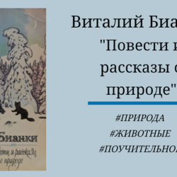 Виталий Бианки Повести и рассказы о природе